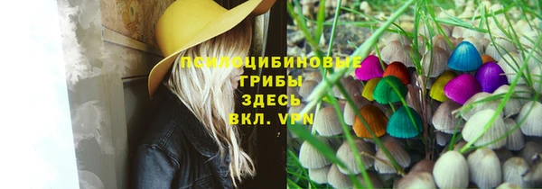 ПСИЛОЦИБИНОВЫЕ ГРИБЫ Алексин