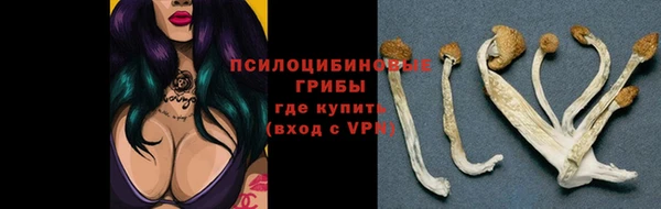 ALPHA-PVP Алексеевка
