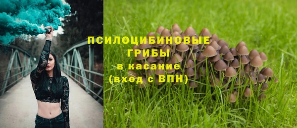 тгк Алзамай