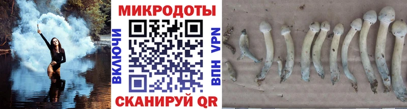 это состав  блэк спрут вход  Усть-Илимск  Галлюциногенные грибы мухоморы 
